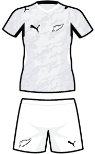 New Zealand away kit